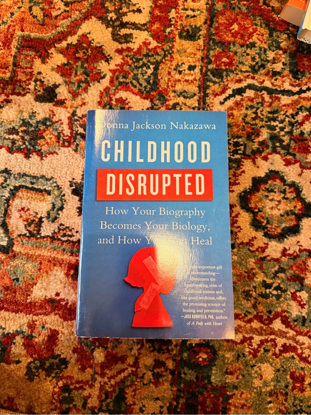 Harper Childhood Disrupted — Blue and Red Cover